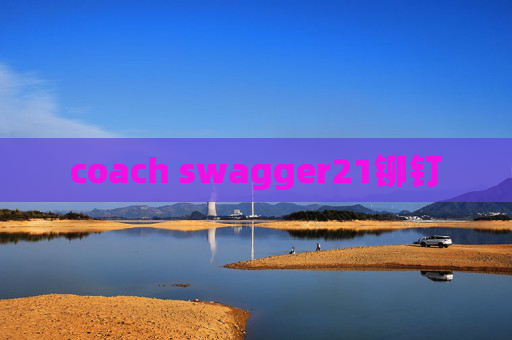 coach swagger21铆钉